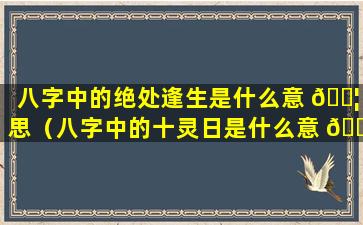 八字中的绝处逢生是什么意 🐦 思（八字中的十灵日是什么意 🌿 思）